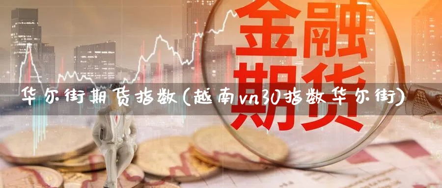 华尔街期货指数(越南vn30指数华尔街)_https://www.51chizi.com_期货百科_第1张